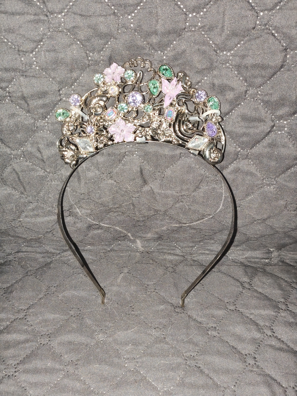 Disney Ears And Tiara
